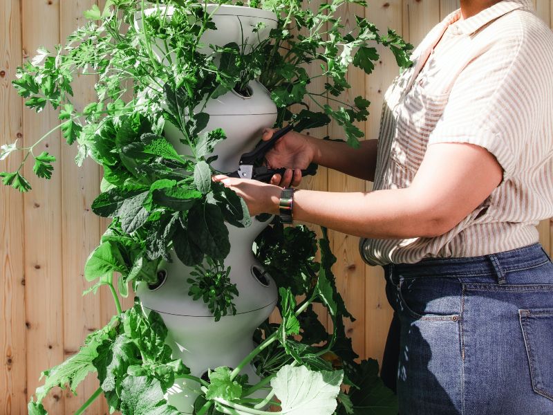Services d’aménagement paysager et jardinage